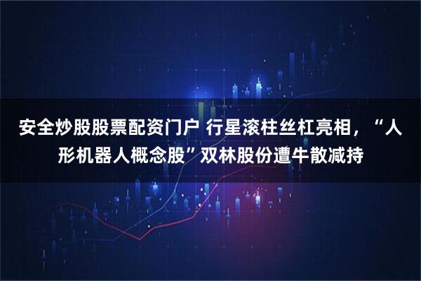 安全炒股股票配资门户 行星滚柱丝杠亮相，“人形机器人概念股”双林股份遭牛散减持